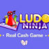 ludo ninja apk